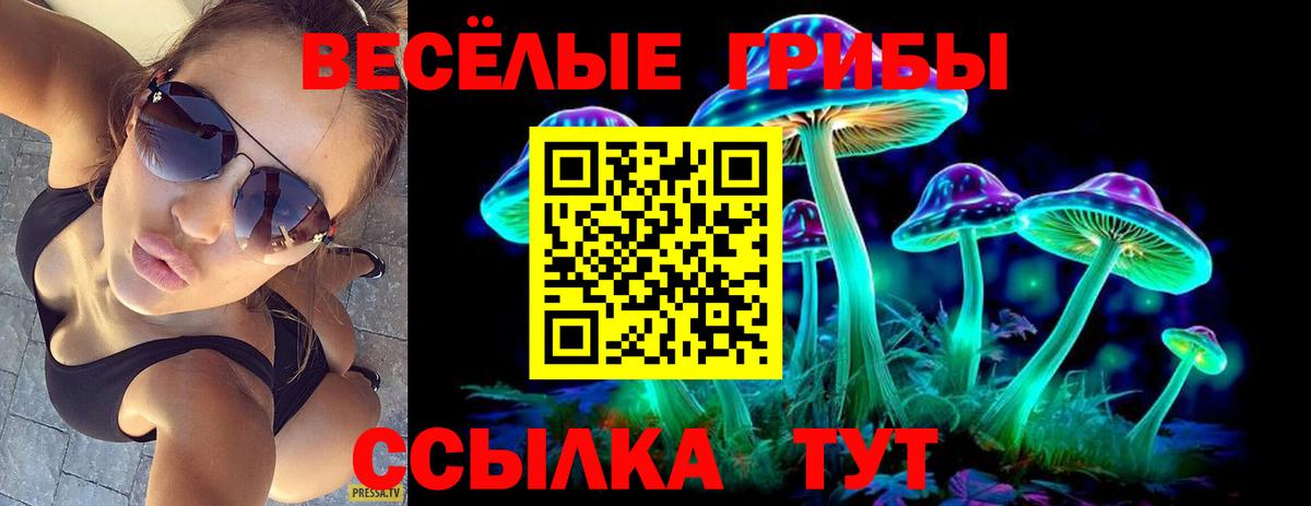 Родники  Галлюциногенные грибы Magic Shrooms  Вход с VPN 