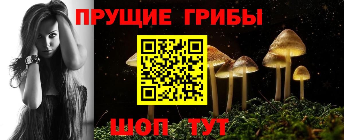 Галлюциногенные грибы мухоморы Родники
